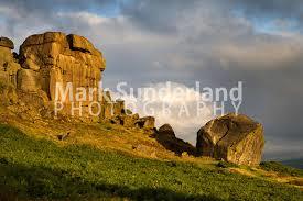 Ilkley Moor Cow and Calf Rocks