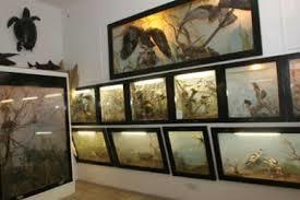 Musee Baroncelli