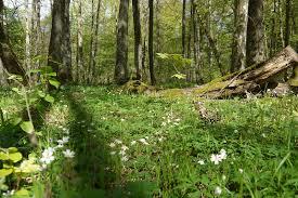 Nottinger Viehweide und Badertaferl