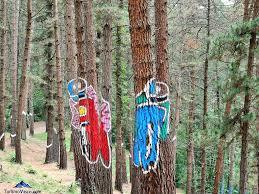 Bosque Pintado De Oma