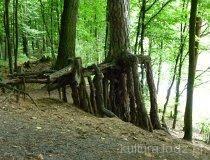 Rezerwat przyrody Spala