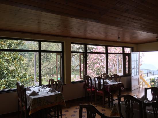 Magnolia Restaurant