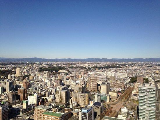 Japanese Cuisine Yamazato