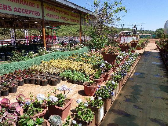 Bagichaa Cream Center