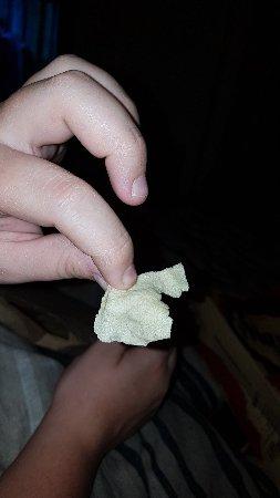 Mango Tree Food of India