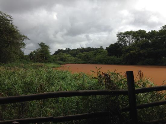 Hippo Haunt Restaurant & Bar