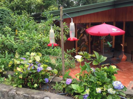 Las Bromelias Restaurant