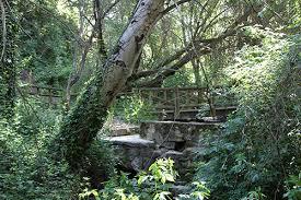 El Forestal De Villaviciosa De Odon