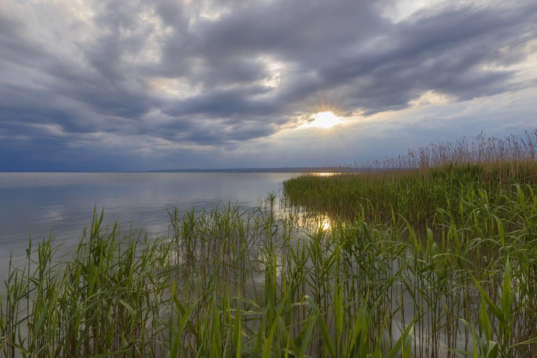 Lake Neusiedl