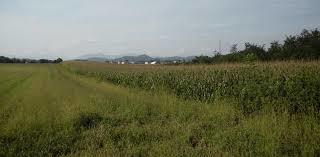 Parco dei Colli Briantei