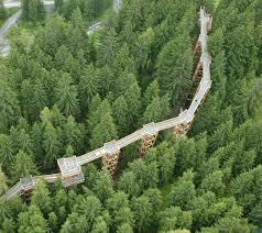 Glemmtaler Baumzipfelweg