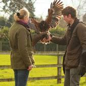 Thirsk Birds Of Prey Centre