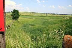 Nature reserve Owczary