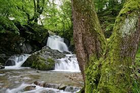 Waterfall area Varshetz