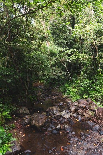 Makiling Botanic Gardens