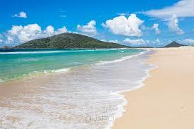 Bennetts Beach Hawks Nest