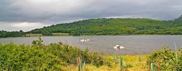 Embalse de los Morales