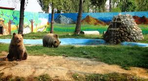 Zoo Targoviste