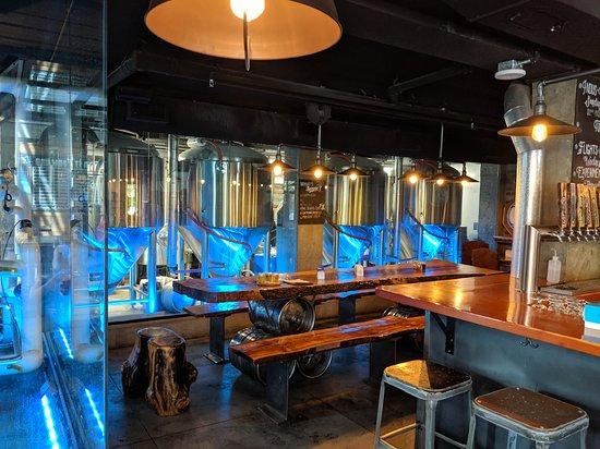 Tree Brewing Beer Institute