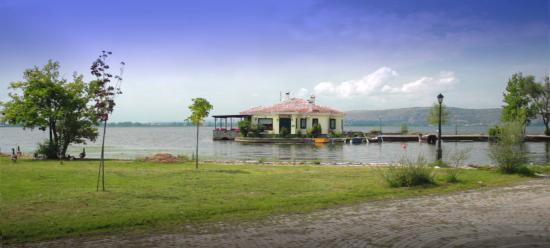 To Nisi Ton Kormoranon