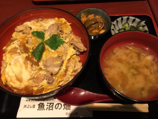 Koshihikari Domburiya Onuma no Hatake