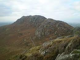 Moel y Gest
