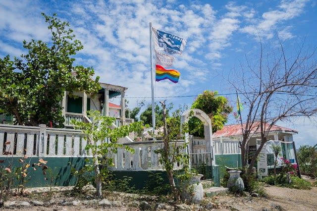 Amuseum Naturalis at The Old House