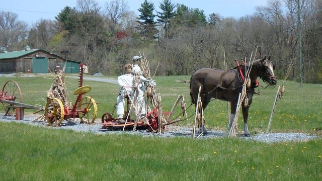 The Hawksbill Greenway Foundation