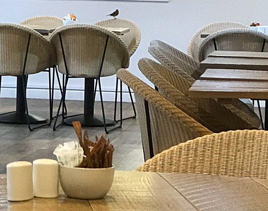 Dobbies Garden Centres