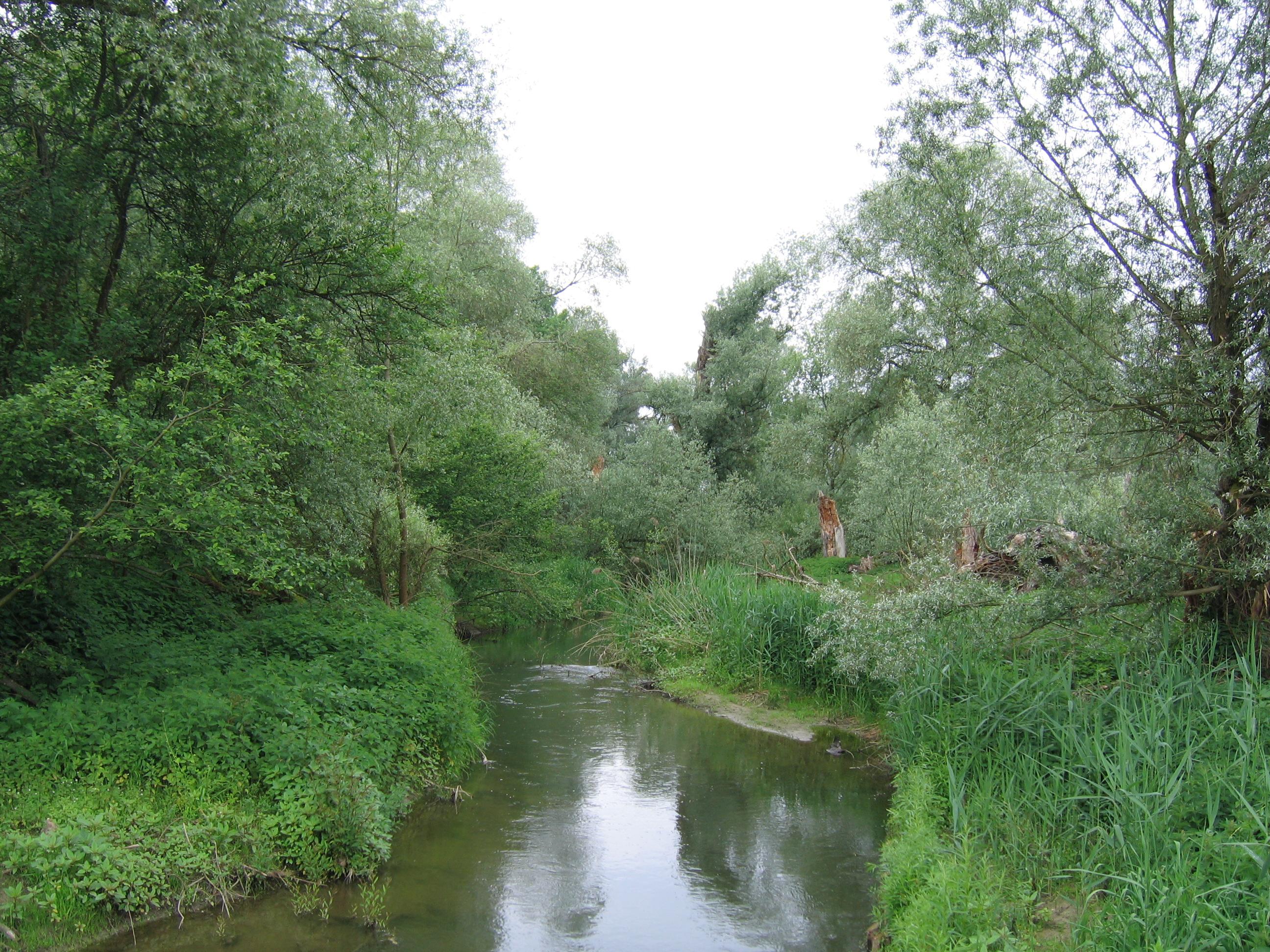Seefelder Aachmundung