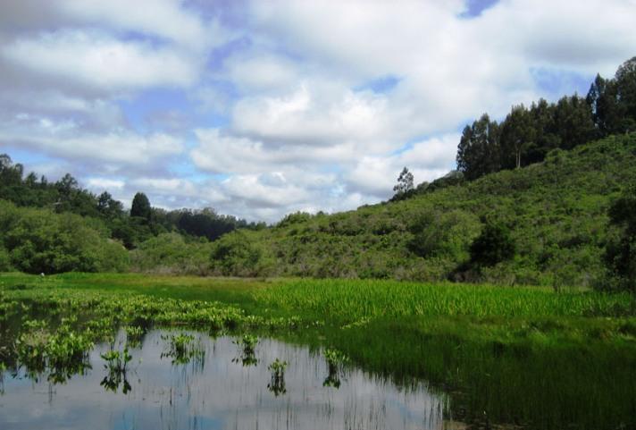 Ellicott Slough National Wildlife Refuge