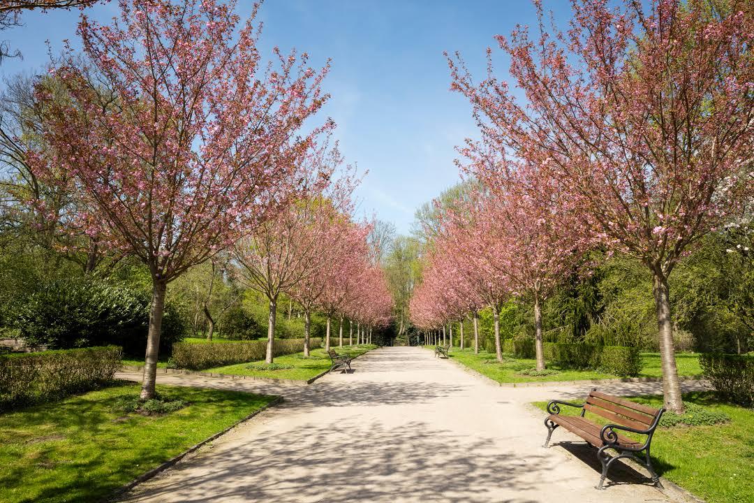 Botanischer Garten Rombergpark
