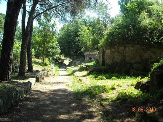 Necropoli della Banditaccia