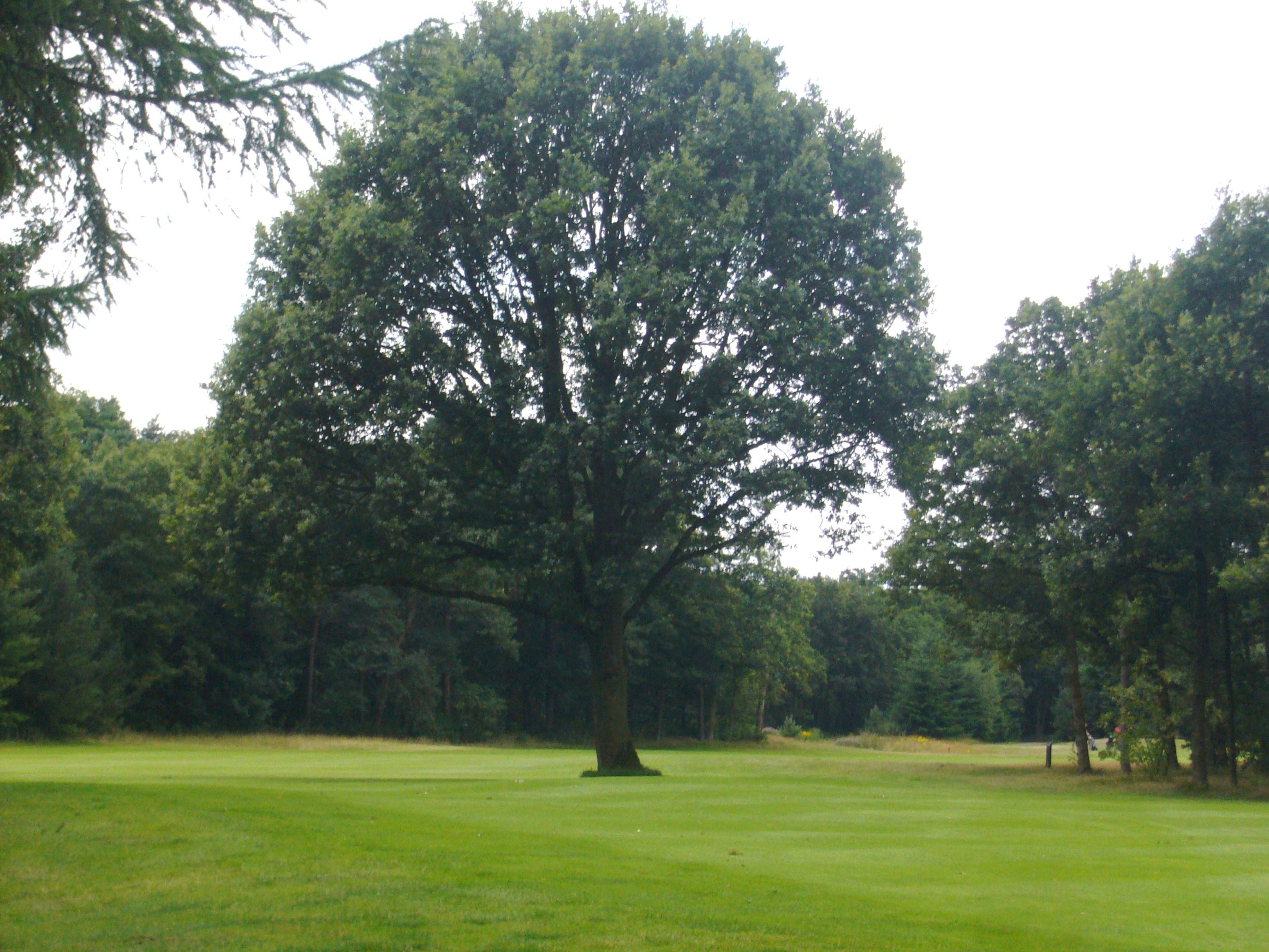 Oosterhoutse Golf