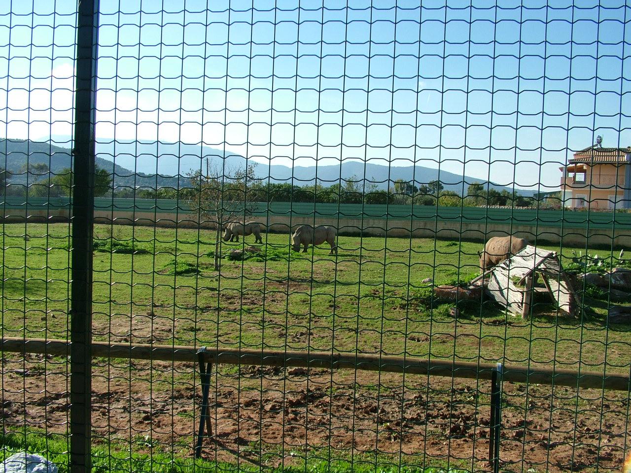 Attica Zoological Park