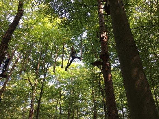 Wald-Abenteuer der Waldkletterpark