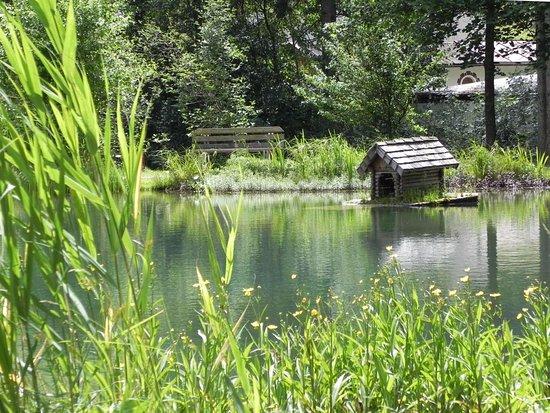 Parco e Percorso Salute