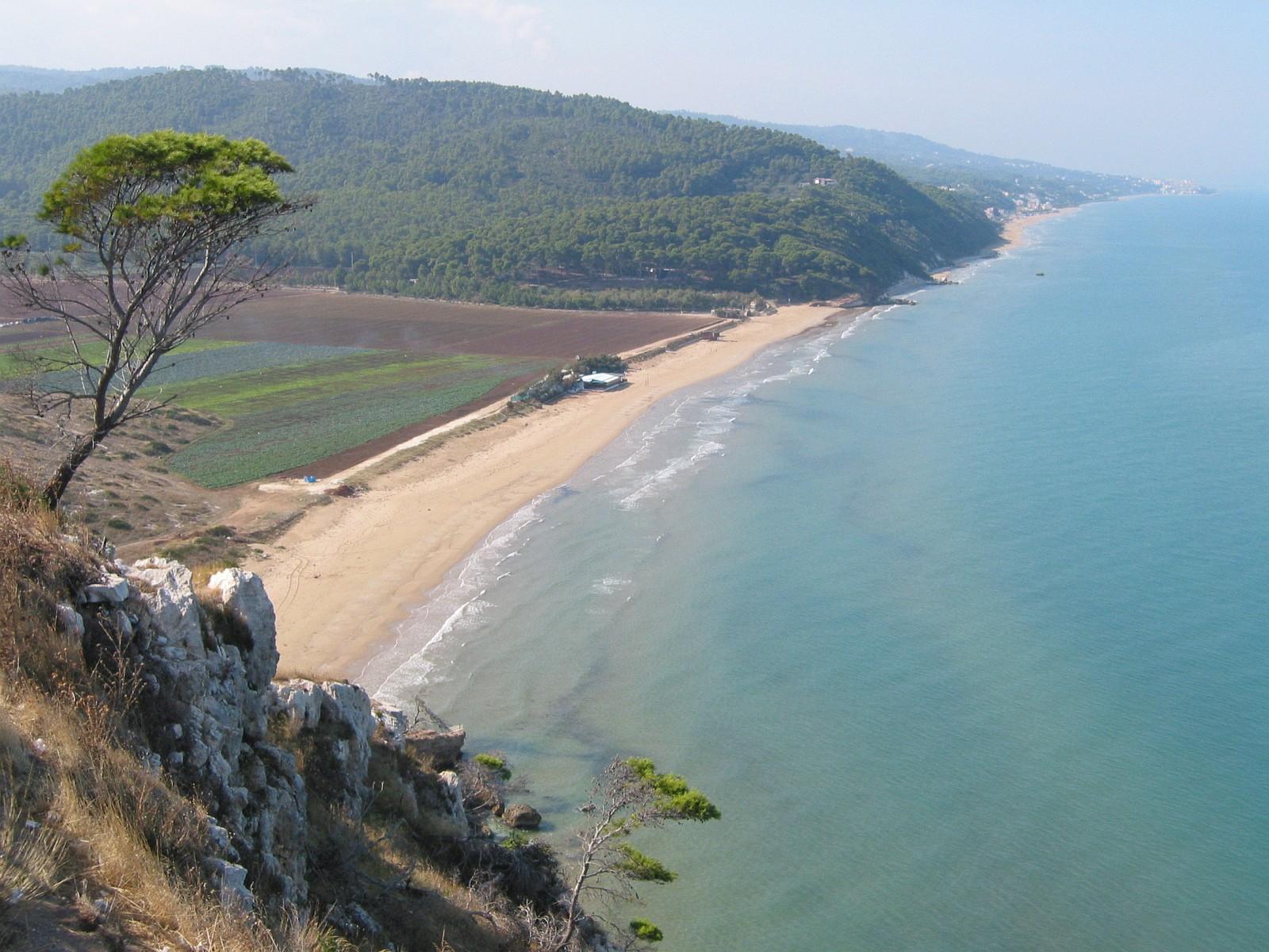 Pineta Marzini