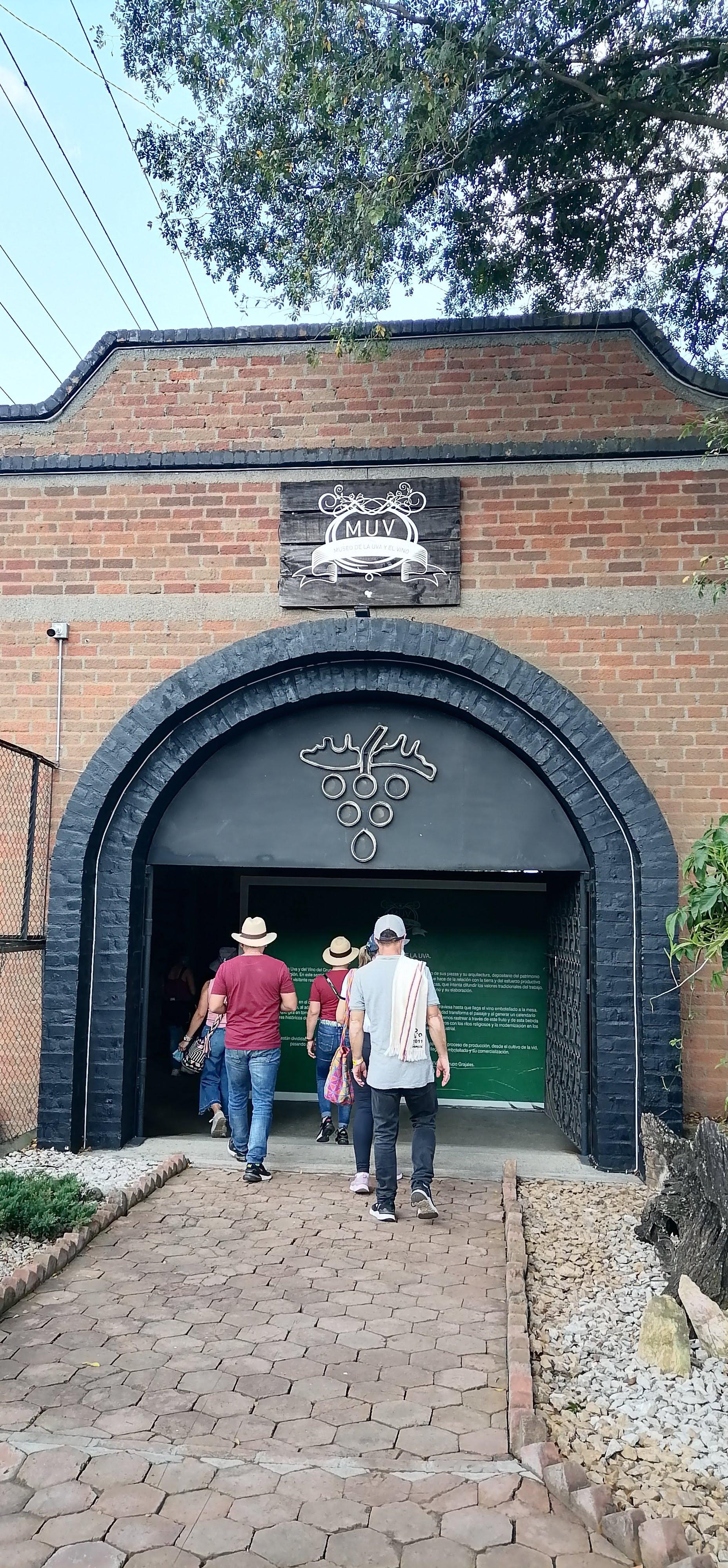 Museo De La Uva Y El Vino