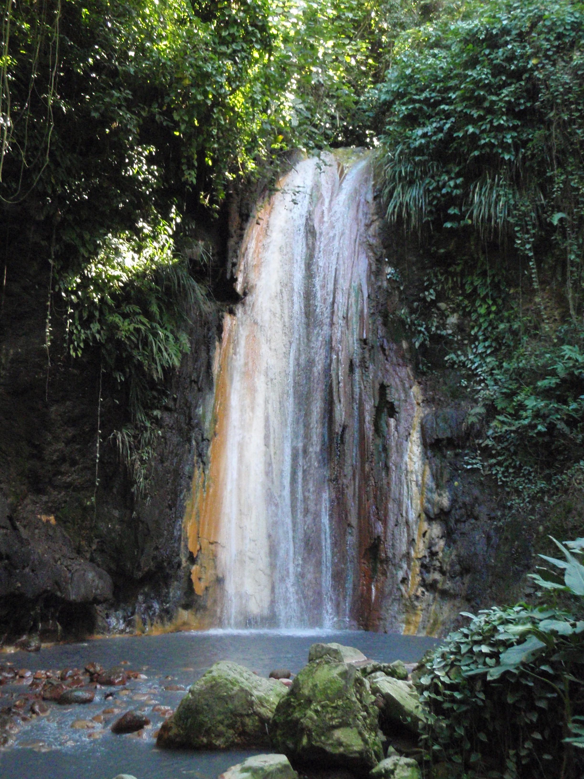 Diamond Botanical Gardens