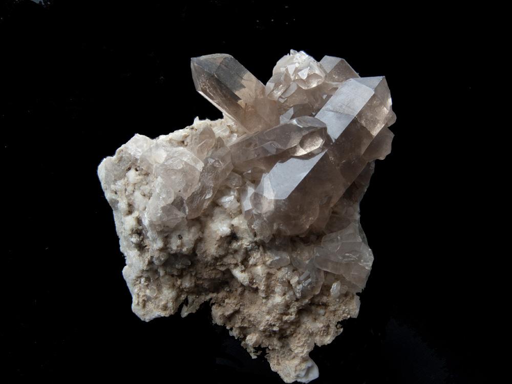 Museo mineralogico e paleontologico del Cenacolo Italo Mus