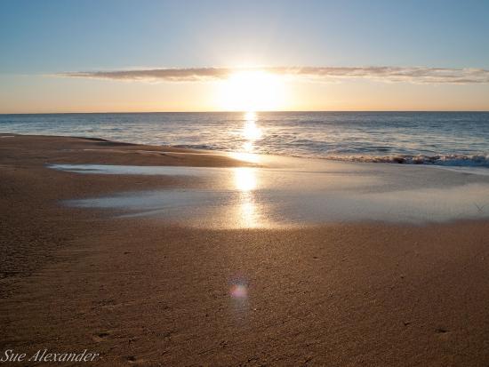 North Narrabeen Beach