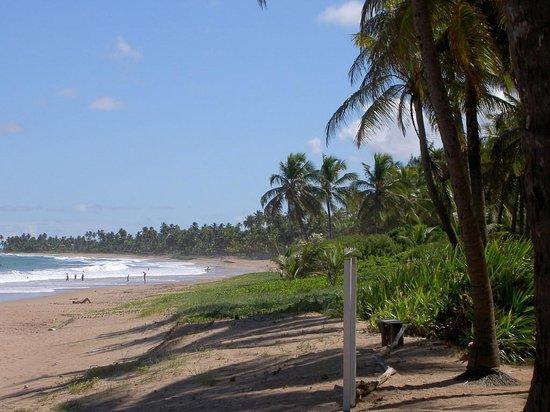 Busca Vida Beach