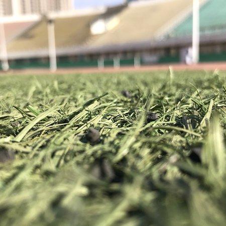 Hohhot People's Stadium