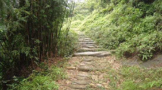 Shiju Tang
