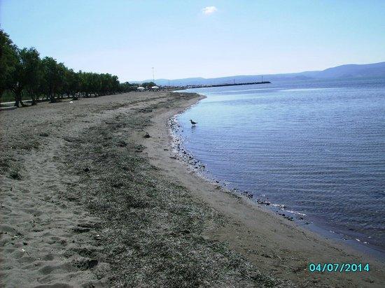 Skala Kallonis Beach