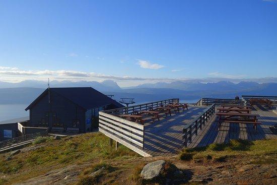 Narvikfjellet