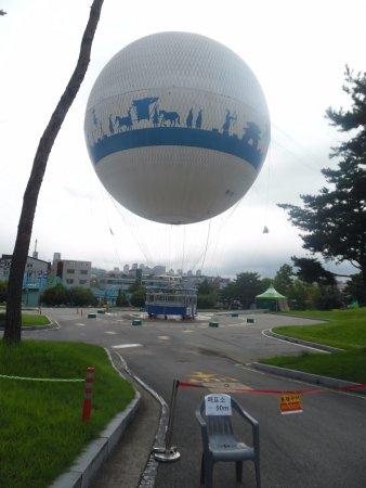 Flying Suwon