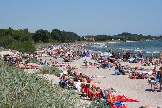 Mossbystrand Beach