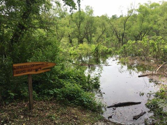 Murphy River Walk